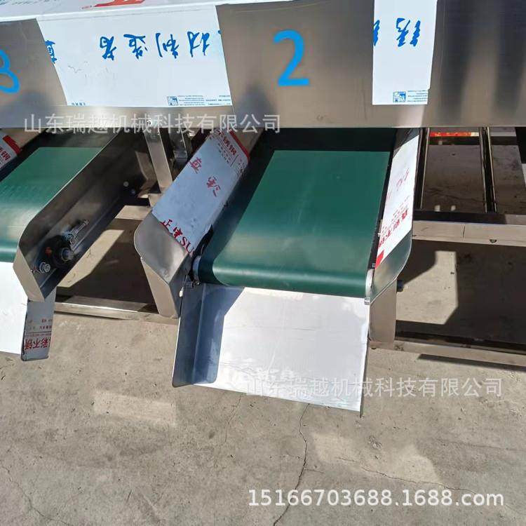厂家砂果糖果橘筛选机土豆分级机无品牌/滚杠式蒜大分选机千禧选