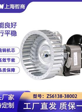 ZS6138-38002惠泰齐欣鳌珍细菌霉菌培养箱电机干燥箱离心叶轮风机