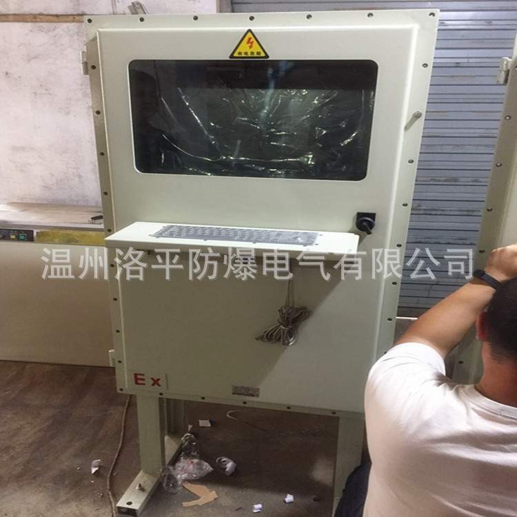 直销22寸显示器防爆外壳单联操作台电脑柜不锈钢控制箱 洛平防爆