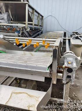 全自动果蔬气泡清洗蔬菜水果海鲜高压喷淋清洗设备去杂质清洗机