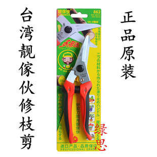 原装-台湾靓傢伙862修枝剪-尖嘴剪-花剪刀-摘果剪-园艺工具剪