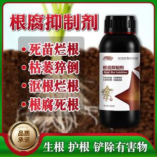 田园丰情根腐抑制剂猝倒烂根茎基腐死棵僵苗快速壮根净化土壤抗病
