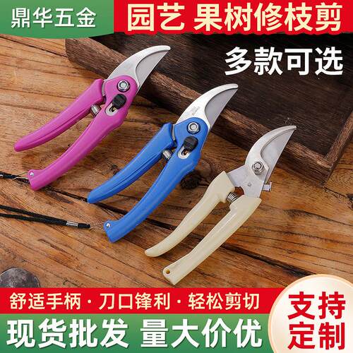 不锈钢园林省力工具果树园艺剪花摘果修枝剪树枝灌木修枝剪刀
