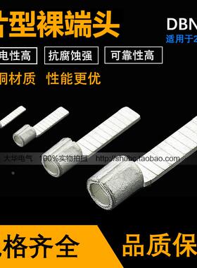 DBNB2-10 KF/XMK/国赛端子 高端紫铜材质  片形裸端头 接口无缝隙