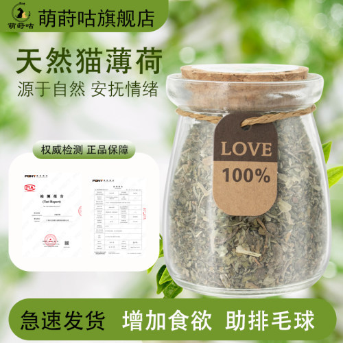 萌莳咕猫薄荷叶可食用