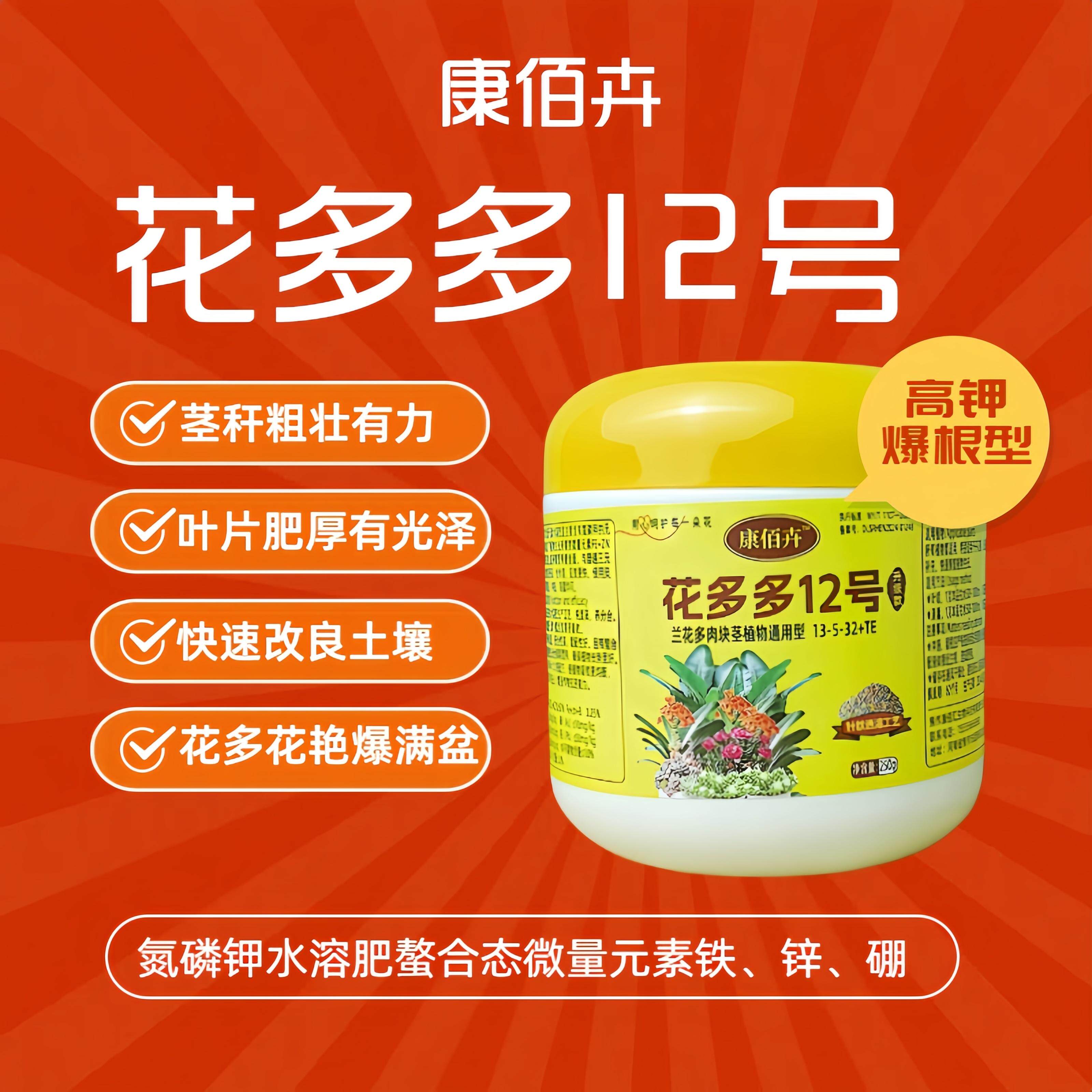 康佰卉花多多12号绿植花卉通用