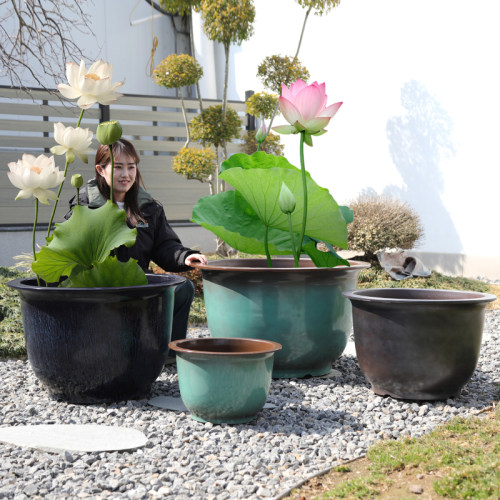 中式彩釉加厚大口径塑料花盆水培