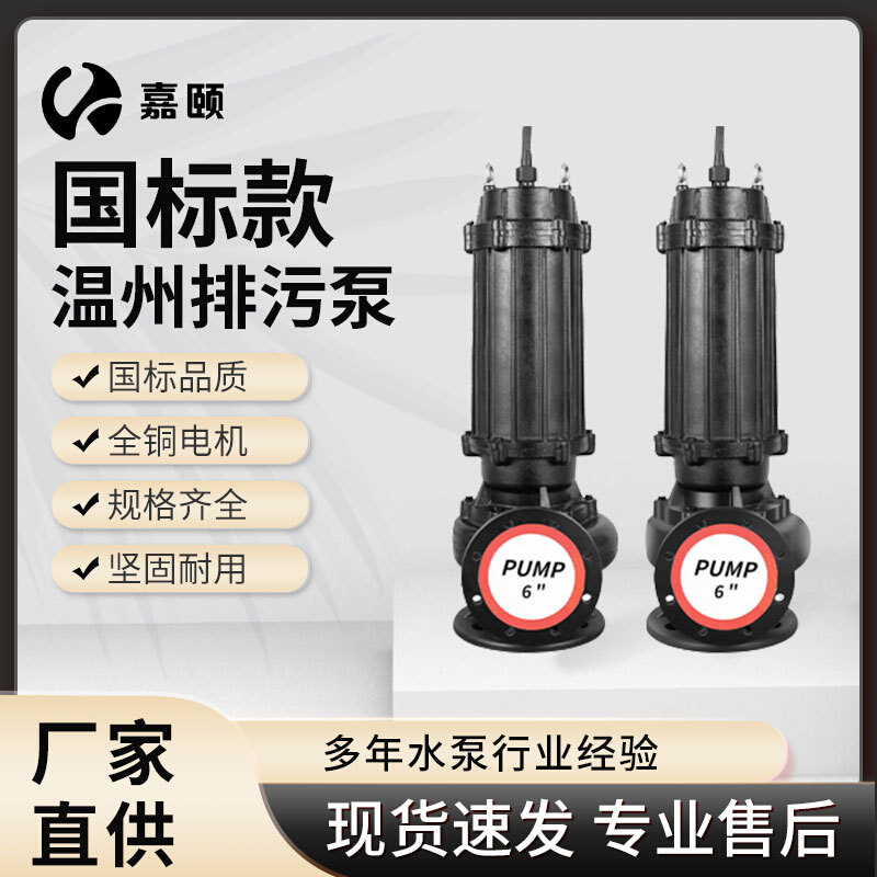 温州款排污泵11KW高扬程工程泵下水道污水泵农田灌溉抽水泵可批发