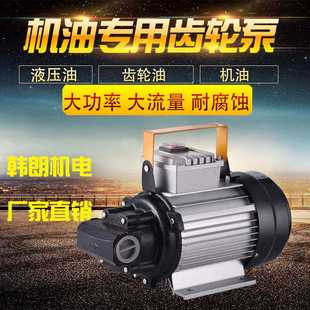 韩朗机油齿轮泵圆弧微型铝合金电动交流抽油泵厂家批发家用液压泵