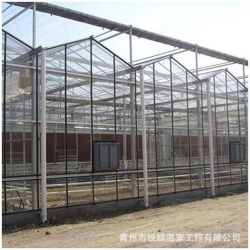 现代智能玻璃温室蔬菜水果花卉农业水产种植养殖观赏大棚大棚配件