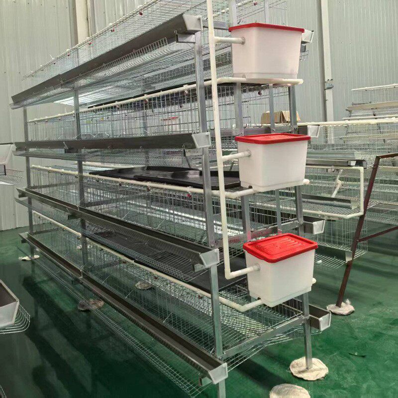 三层四门冷镀锌绿槽粪盘蛋鸡笼联排摆放养殖场鸡笼子鸡舍养鸡笼