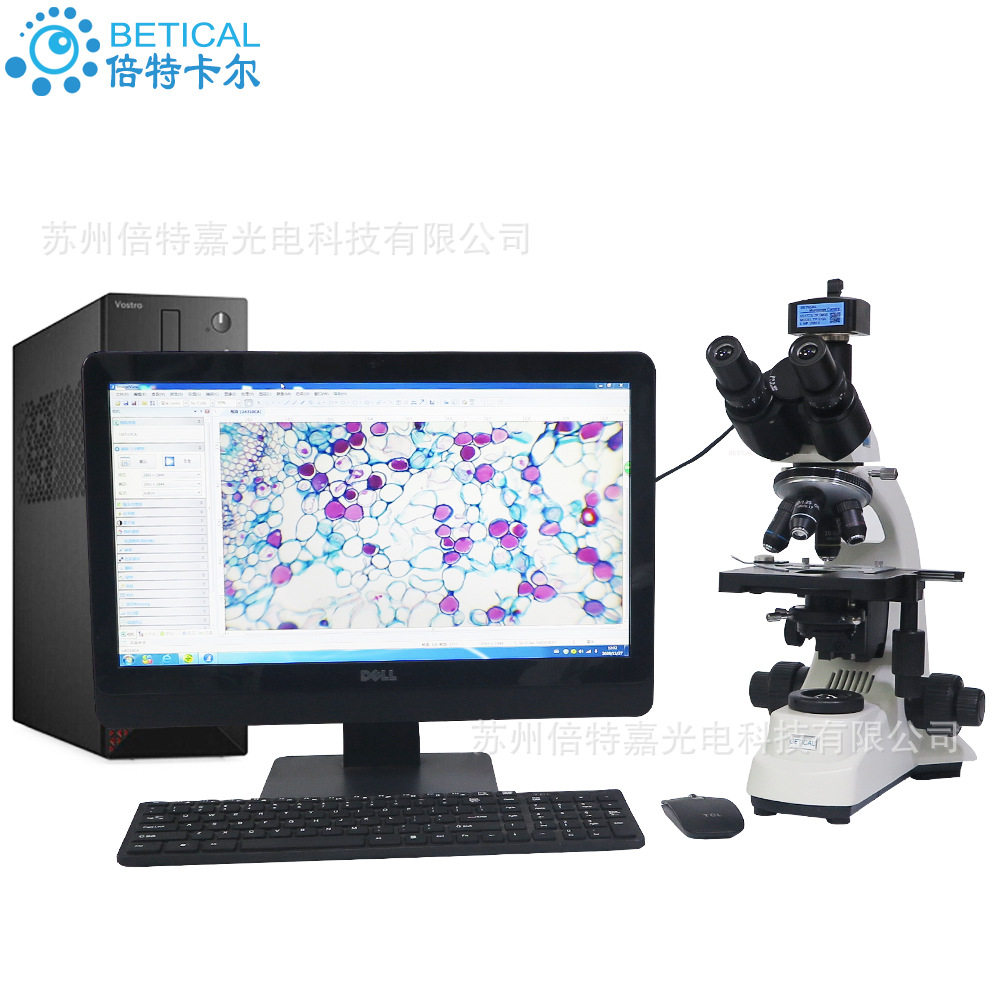 三目数码生物显微镜S500T-T310型 科研用光学显微镜 USB2.0相机