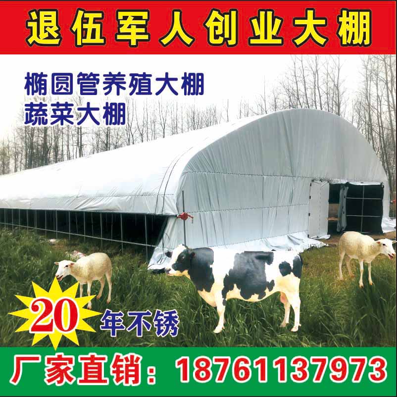 速发椭圆管养殖大棚养鸡大棚全套保温骨架钢管养猪牛羊棚种蘑菇香