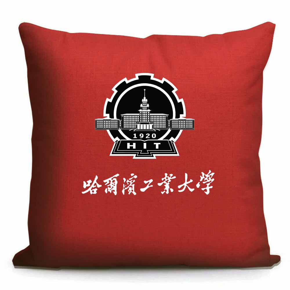 速发哈尔滨工业大学哈工大纪念品校徽文创礼品沙发靠垫抱枕