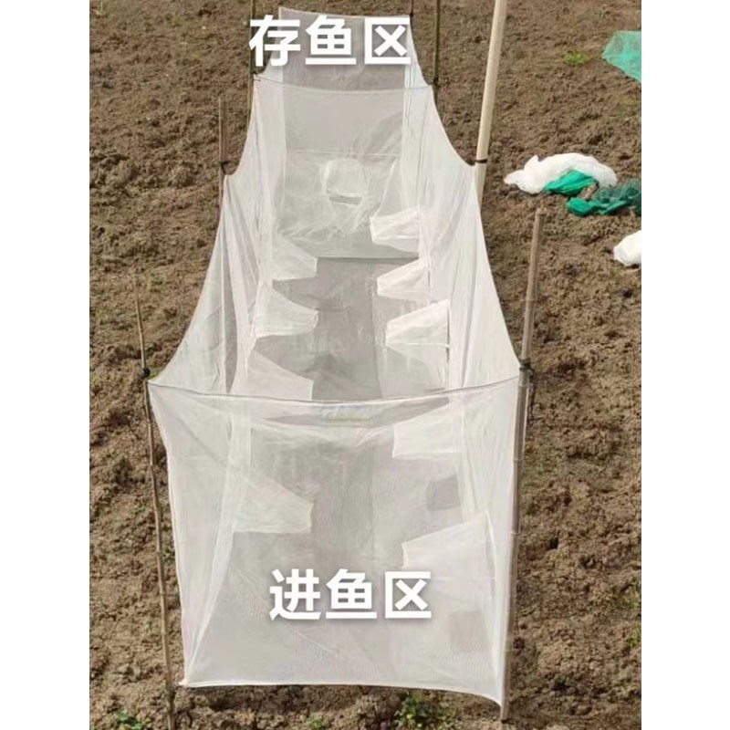 速发双排口自动进箱泥鳅餐白条养殖笼子神器鱼塘水库捕鱼