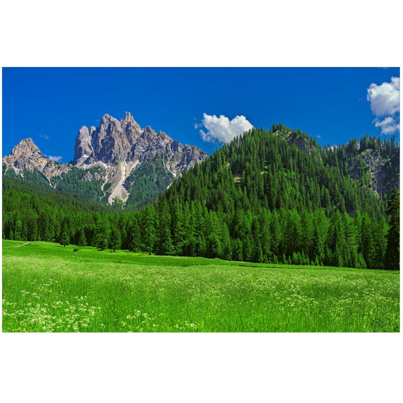 速发青山大山有山无水自然风景画靠山图客厅办公室背景墙招财装饰