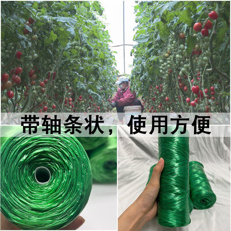 速发塑料绳绿色大棚吊秧绳蔬菜辣椒黄瓜番茄西红柿吊蔓绳引蔓绳子