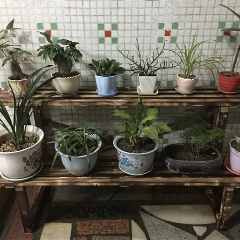速发20省包邮实木组装花架子台碳化防腐置物架多层梯形户外花盆隔