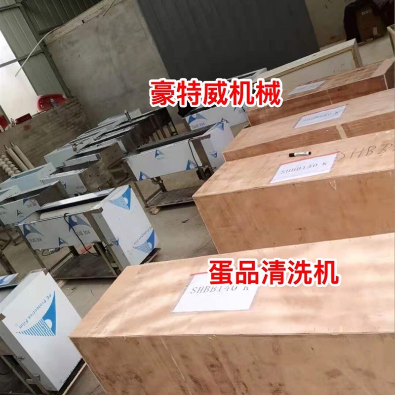 速发全自动不锈钢蛋品清洗机洗蛋机养殖场厂蛋品清洗机