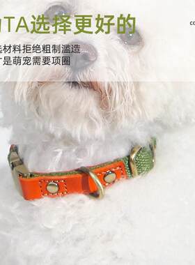 狗狗项圈刻字防走丢狗脖圈狗牌子中大型犬宠物颈圈脖套宠物吊牌