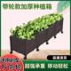 种植箱带轮子种菜盆阳台蔬菜花箱长方形家庭户外塑料专用花盆移动