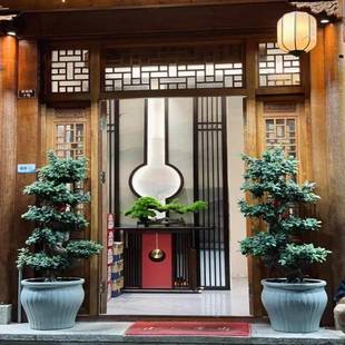 金钱榕树盆栽室客厅招财绿植摇钱盆树办公内室景庭FEE院乔植物迁