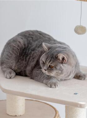 出口窝日本！藤编猫架猫猫树爬一体易打理剑麻多层织大MFS型剑麻