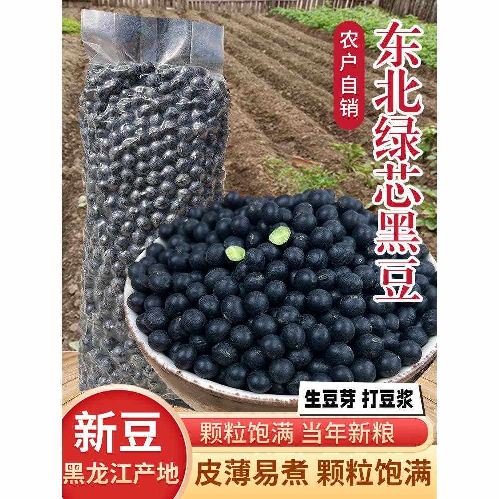 1kg真空新豆东北黑豆青仁豆绿心黑豆打豆浆专用醋泡豆发豆芽农家