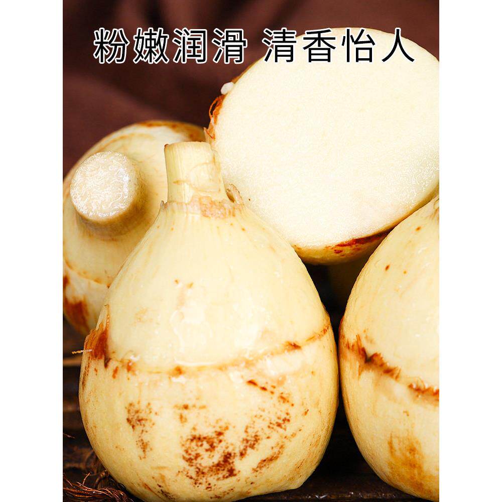 云南新鲜慈姑茨菰茨菇白马蹄鲜慈姑5斤粉糯荸荠新鲜蔬菜顺丰包邮