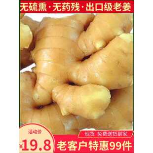 【特惠10斤】山东大姜生姜新鲜黄姜老姜母包邮安丘大姜风干姜