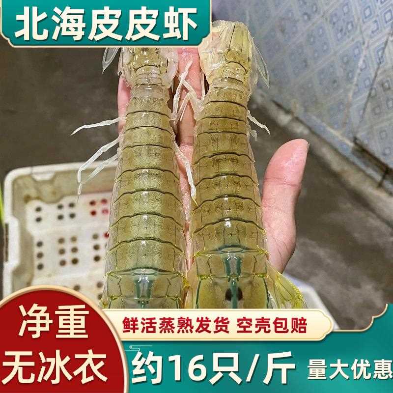 北海皮皮虾鲜活包邮海鲜水产海虾琵琶虾虾爬子新鲜濑尿虾蒸熟发货