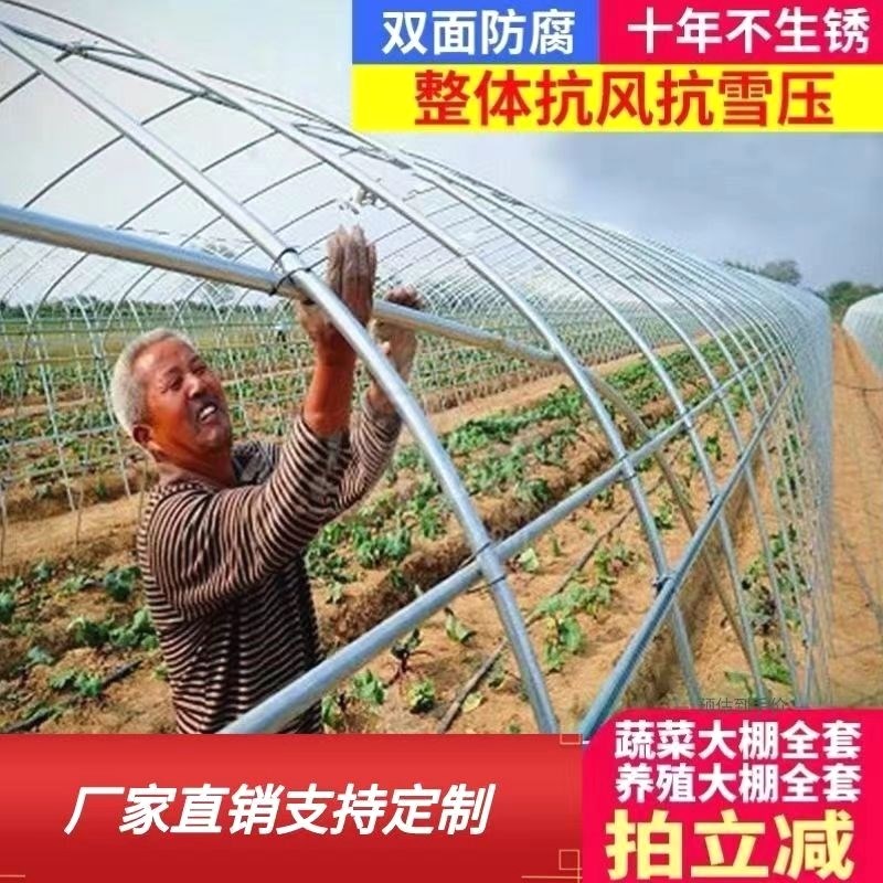 热销蔬菜种植暖棚大棚骨架温室养殖大棚J全套保温养鸡鸭鹅猪牛羊