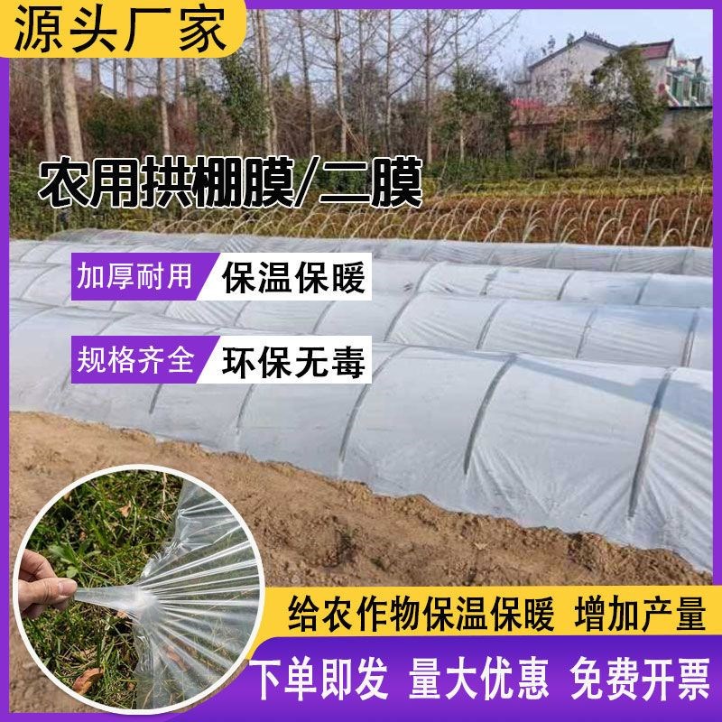 热销小拱棚专f用育苗水稻秧苗内膜透明保温农用二层塑料薄膜地膜