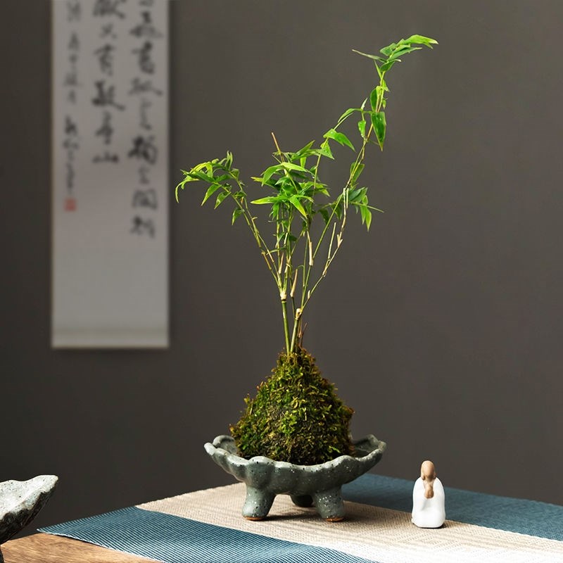 热销苔藓球托盘j创意中式复古剑山插花器皿苔藓球接水盘托盘客厅