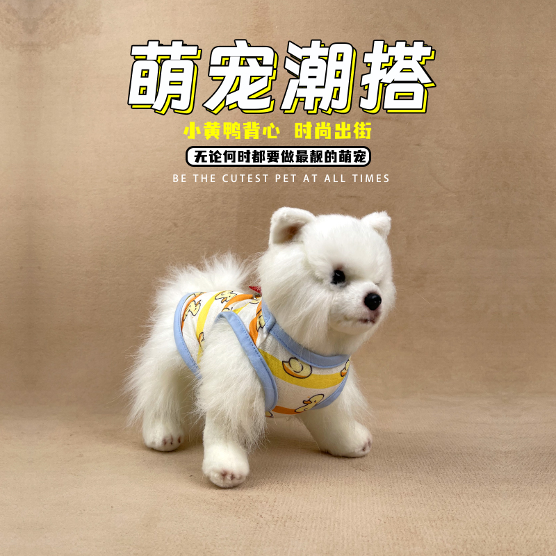 狗狗衣服春秋夏装泰迪比熊博美小型犬宠物运动装