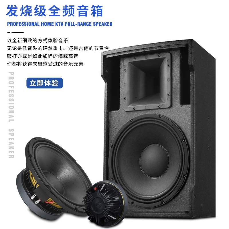 专业音箱会议室报告厅舞蹈培训室家庭K歌8寸全频木质吊装壁挂音响