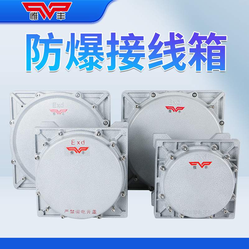 防爆接线箱IICT6配电箱照明动力检修端子箱电源开关控制盒配电柜