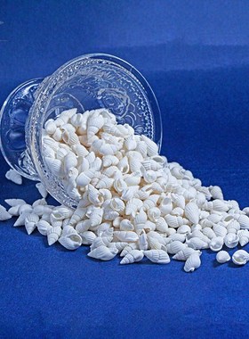 渡心缘小白海螺修曼茶罗宝石供曼扎宝石七宝八供装藏七宝石五彩石