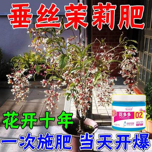 极速垂丝茉莉专用肥骨粉养花促开花硫酸亚铁通用型的喜酸植物营养