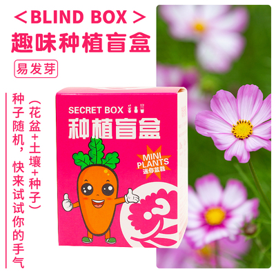 幼儿园礼物小礼品全班生日分享小学生奖励小礼品课堂奖品种植盆栽