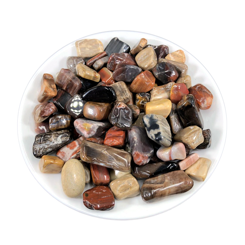 天然木化石碎石树化玉原石小颗粒供佛鱼缸花盆铺底装饰造景小石子