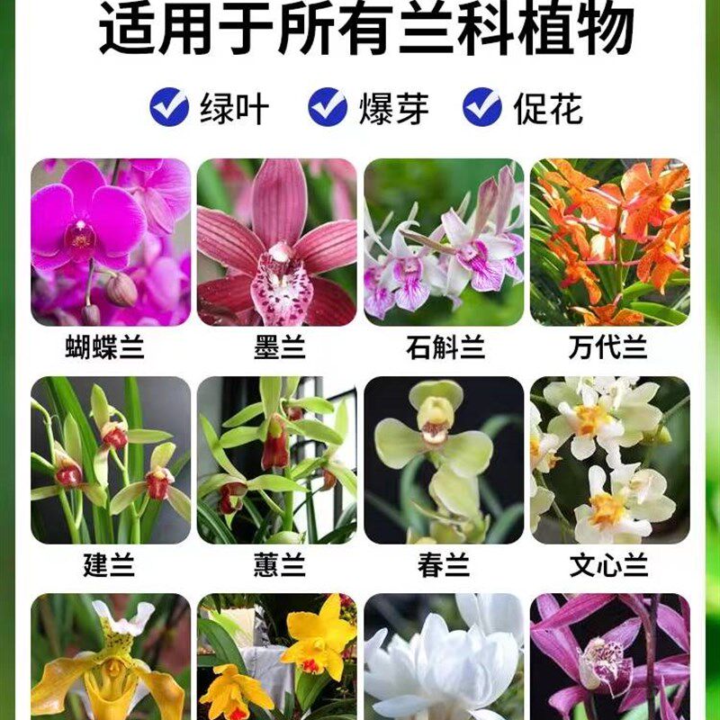 极速厂家兰灵王促花科活化剂 兰花专用营养液肥料e菌兰陵王促花君