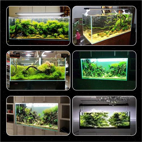普通超白玻璃鱼缸定水族箱客厅小型长方形草缸海水缸乌龟缸生态缸