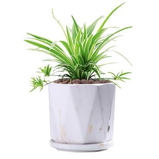 极速北欧陶瓷大理石纹花盆大号家用室内阳台带分离托盘绿植兰花水