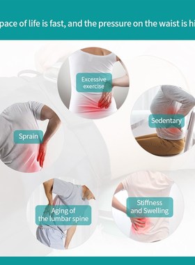 Recharging Pulse Heating Lumbar Massager Spectrum Therapy Wa