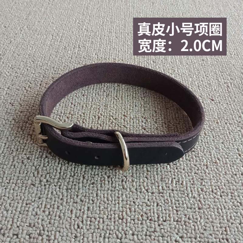 真皮项圈狗狗中型小型大型狗圈颈圈宠物马犬多金毛脖套牛皮牵引绳