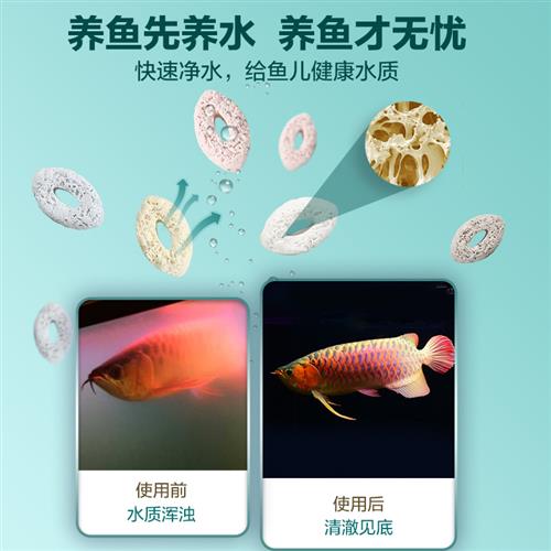 鱼缸过滤材料细菌屋陶瓷环养鱼专用净水鱼池过滤器硝化培菌滤材