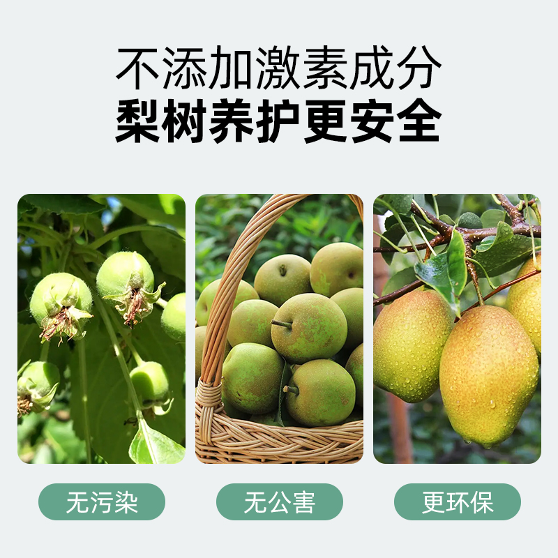 梨树专用肥梨树肥料营养液果树梨子奈梨水溶肥什么施肥有机肥鸭梨