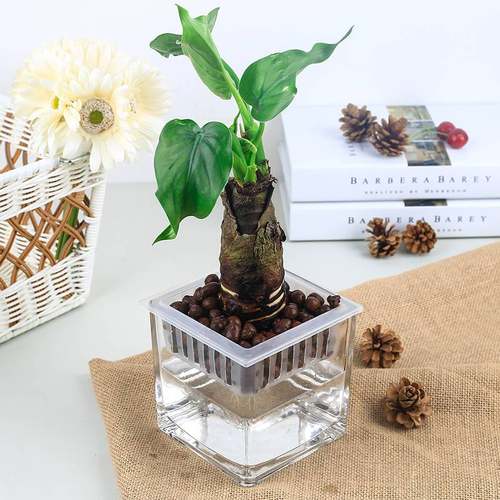 Fashionable square cylinder ornaments simple transparent cup