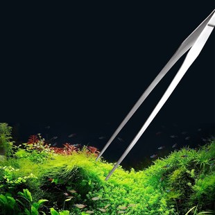 Terrarium Complete Gravel 新品 Tweezers Set Aquarium Plant